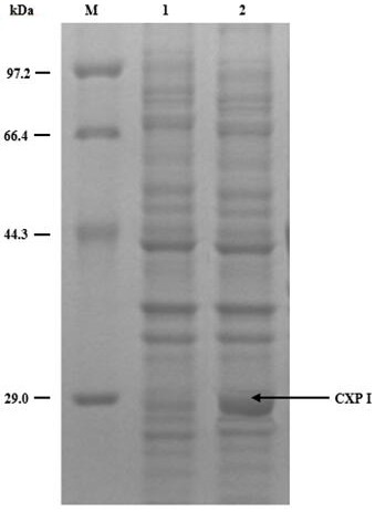 A kind of preparation method of (2s,3s)-2-hydroxyl-4-phenylbutane derivative