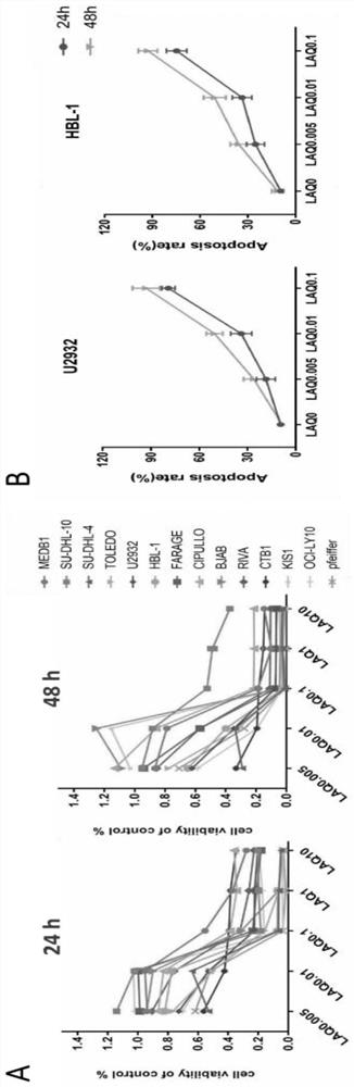 Application of novel HDAC inhibitor LAQ824 to drug for treating diffuse largeB-cell lymphoma