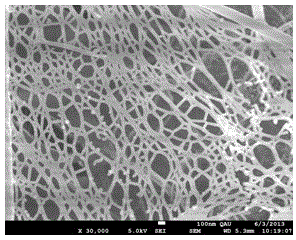 Graphene and vanadate composite nano-fiber photocatalyst and preparation method thereof