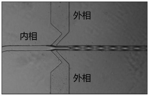 Biocompatible water core microcapsule and preparation method thereof