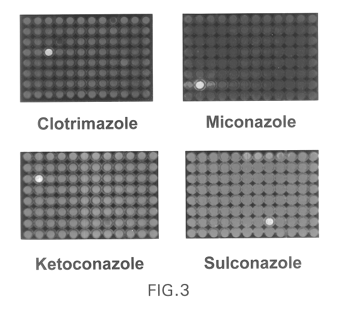 Targeted methods of drug screening using co-culture methods