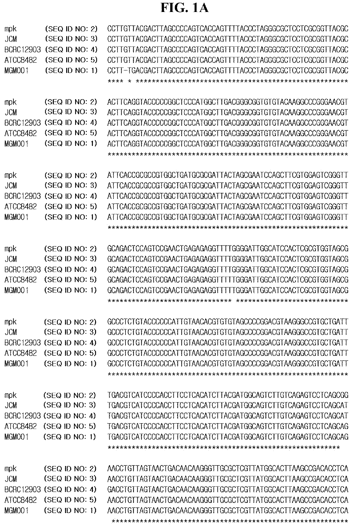 Method and composition comprising detoxified lipopolysaccharide and lipoteichoic acid for preventing or inhibiting formation of biofilm