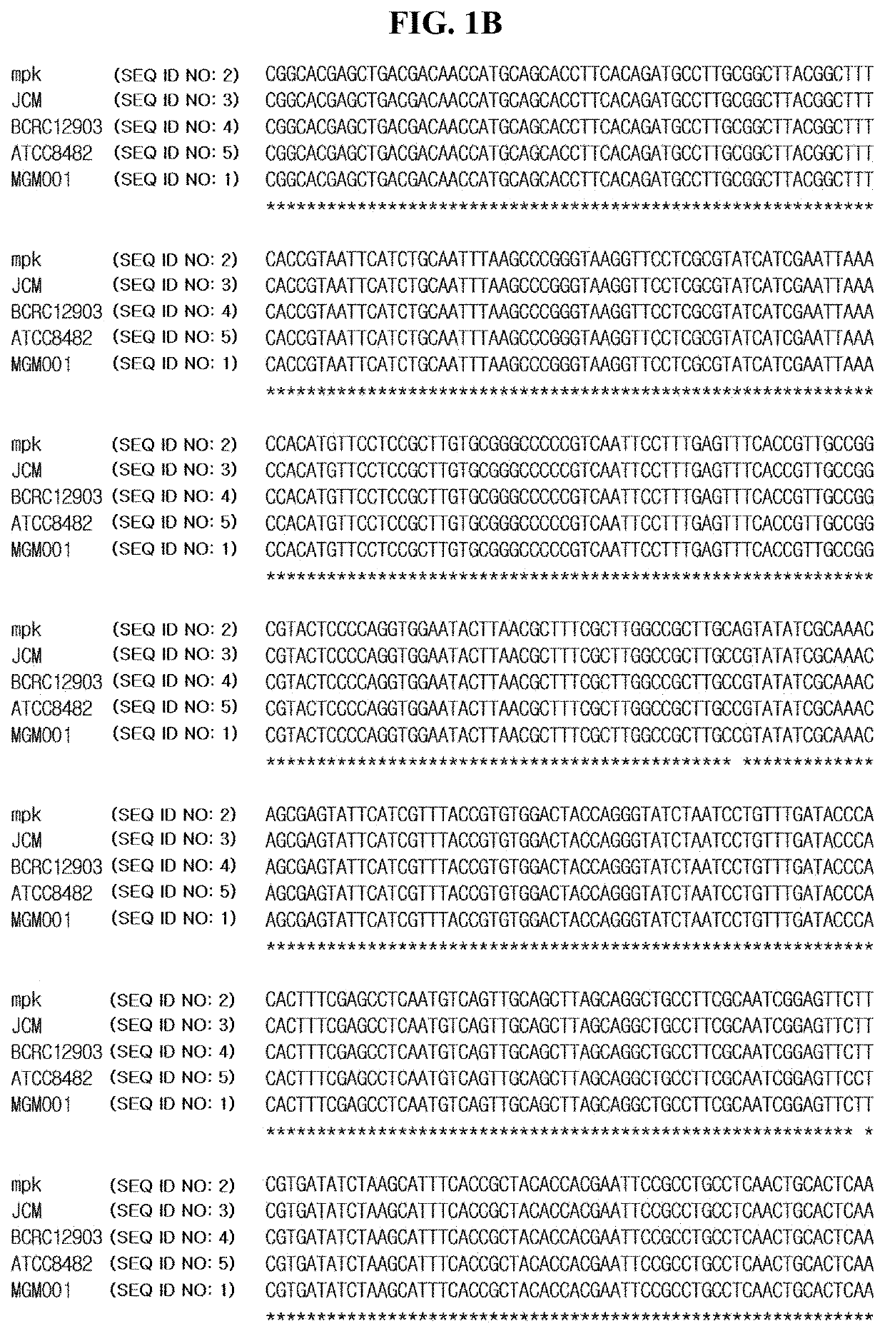 Method and composition comprising detoxified lipopolysaccharide and lipoteichoic acid for preventing or inhibiting formation of biofilm