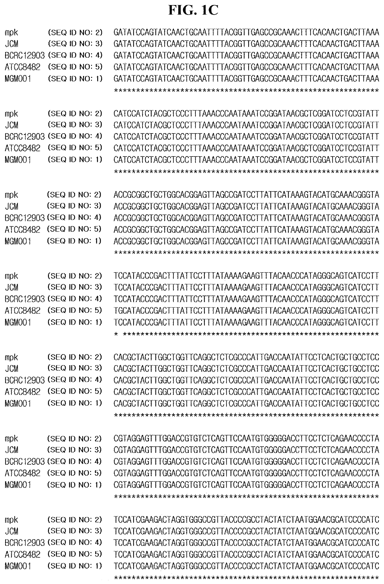 Method and composition comprising detoxified lipopolysaccharide and lipoteichoic acid for preventing or inhibiting formation of biofilm