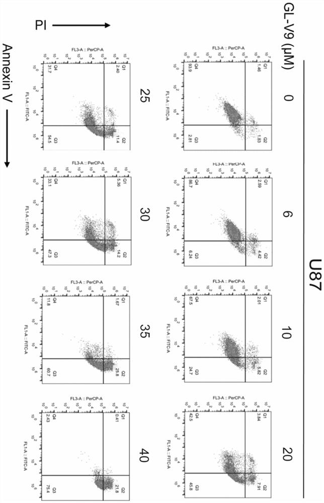 Application of GL-V9 in preparation of anti-glioma drugs