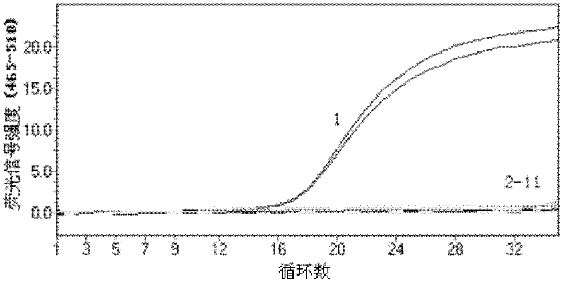 RT-PCR-based method for determining the content of specific meat components in mixed meat products