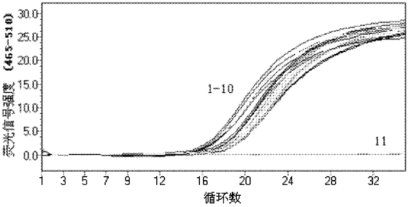 RT-PCR-based method for determining the content of specific meat components in mixed meat products