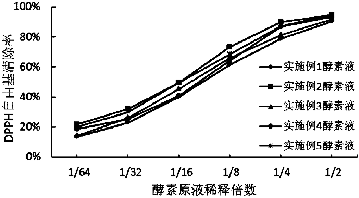 Organic Chinese wolfberry fruit enzyme and preparation method thereof