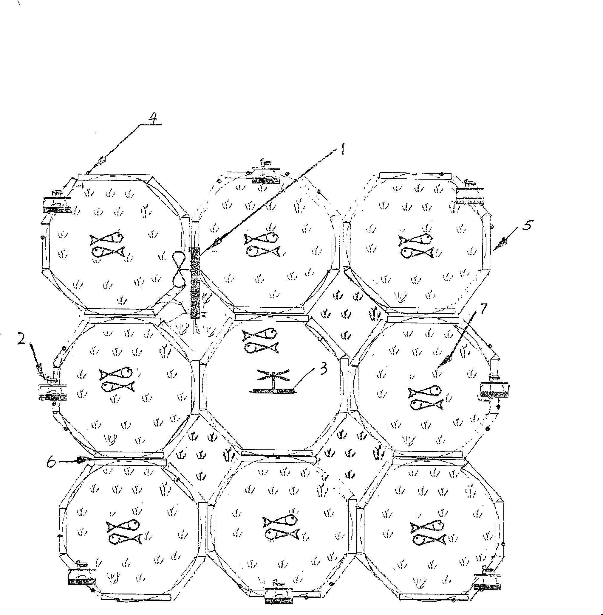 System and device for treating water pollution by biological cultivation