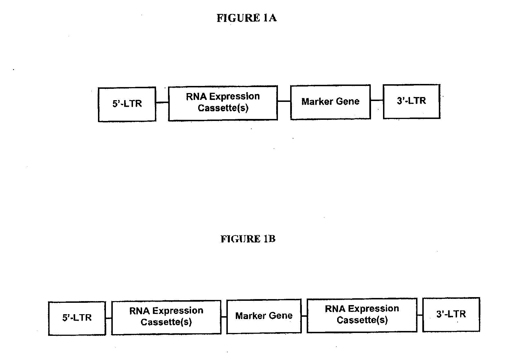 Method for expression of small antiviral RNA molecules with reduced cytotoxicity within a cell