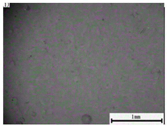 Ceramic paint used on surface of steel and preparing method thereof