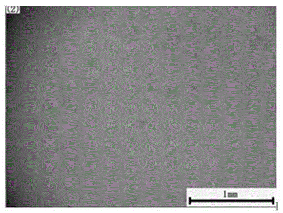 Ceramic paint used on surface of steel and preparing method thereof