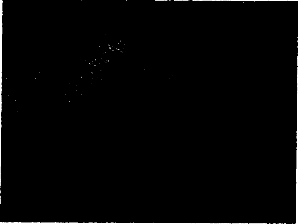 Manufacturing method of tissue engineered cartilage