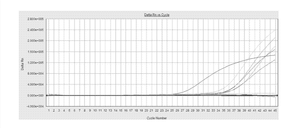 Fluorescence quantitative polymerase chain reaction (PCR) detection kit for hepatitis B virus (HBV)