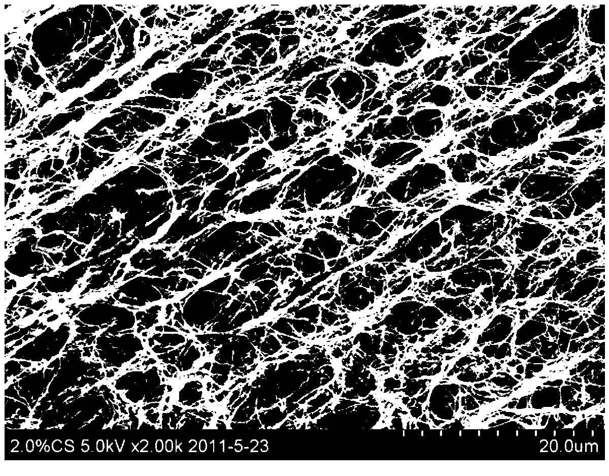 Bacterial cellulose facial mask with gradient structure and preparation method of facial mask