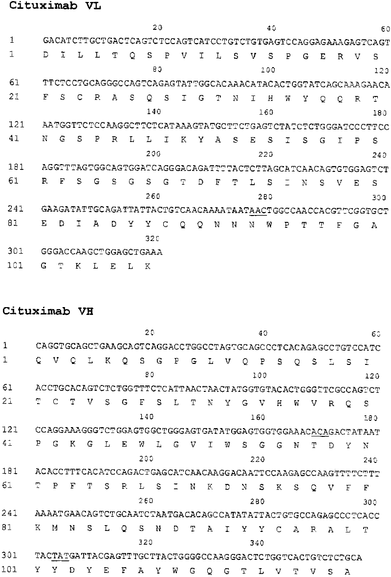 High-affinity anti-EGFR (epidermal growth factor receptor) monoclonal antibody