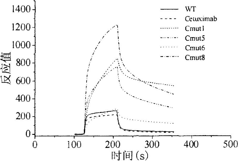 High-affinity anti-EGFR (epidermal growth factor receptor) monoclonal antibody