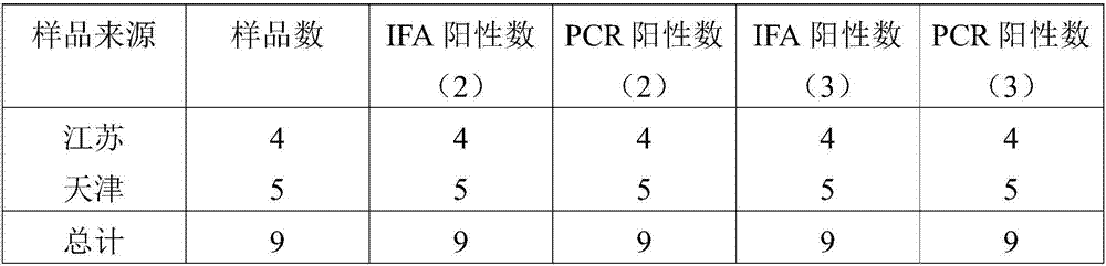 Rabbit bordetella bronchiseptidca detection method