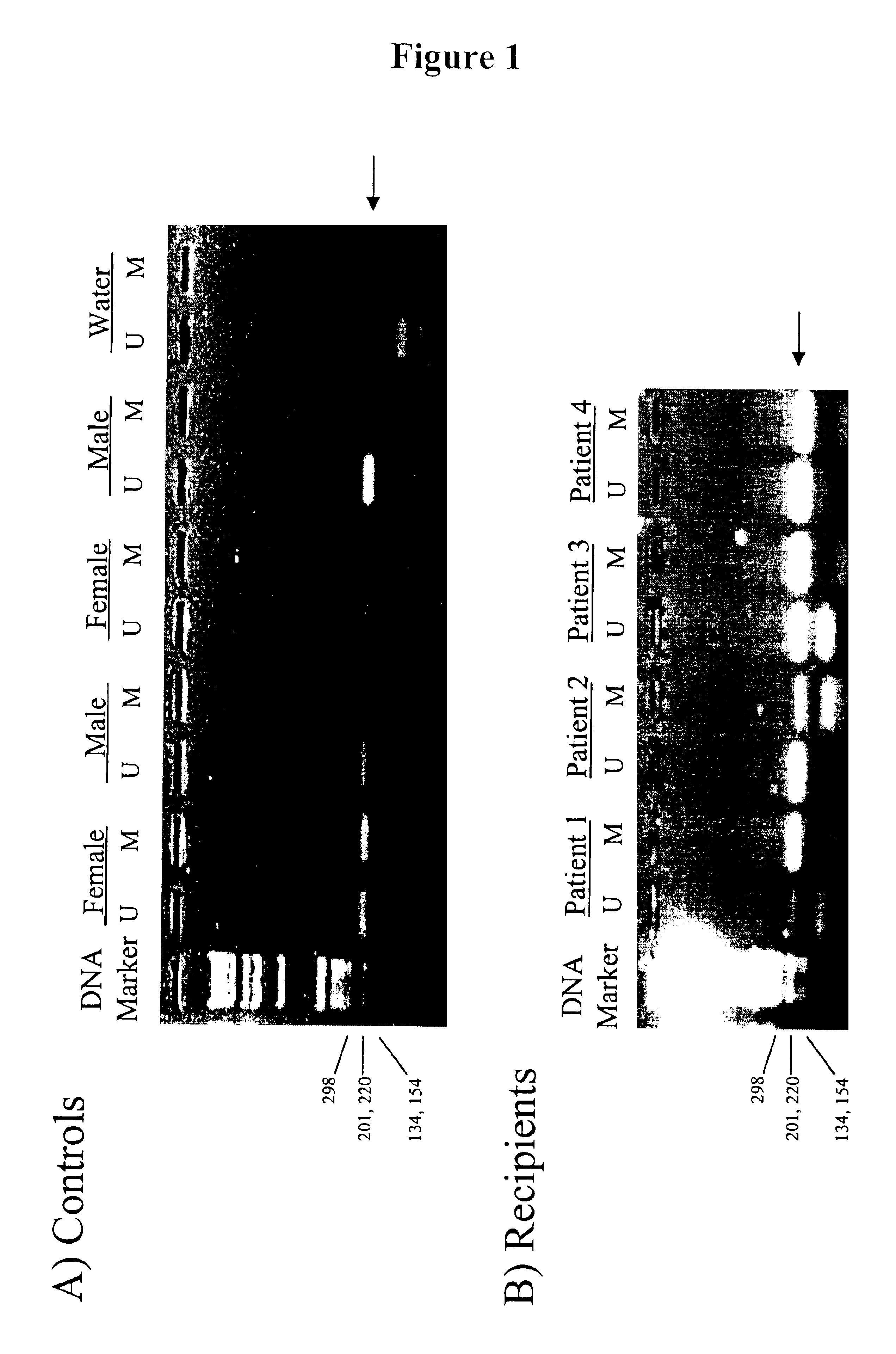 Non-invasive methods for detecting non-host DNA in a host using epigenetic differences between the host and non-host DNA