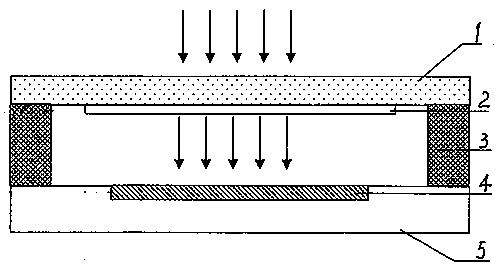 Miniaturized high-gain low-illuminance night-vision imaging device