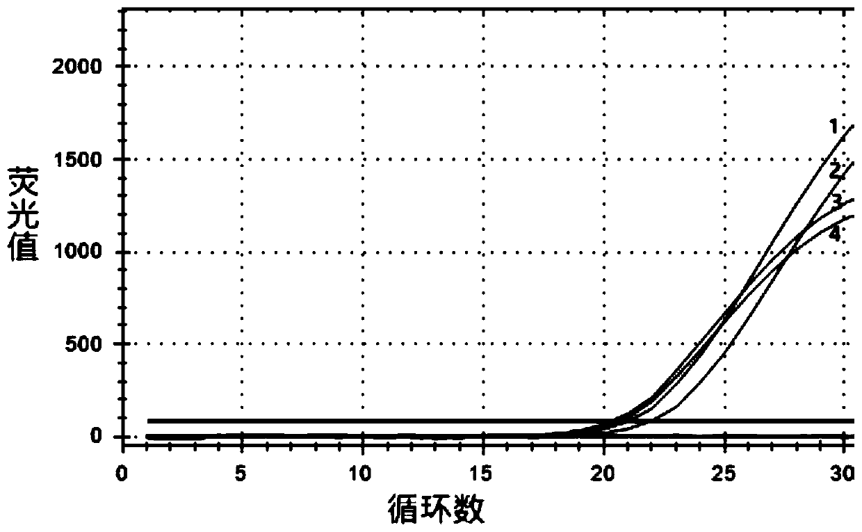 Fluorescent quantitative PCR primer probe and kit and method for detecting three kinds of bacillus