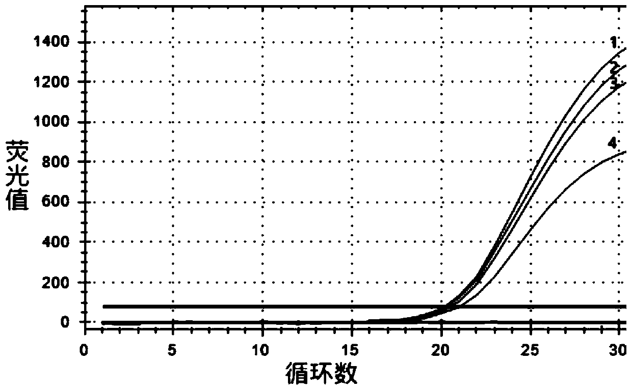 Fluorescent quantitative PCR primer probe and kit and method for detecting three kinds of bacillus