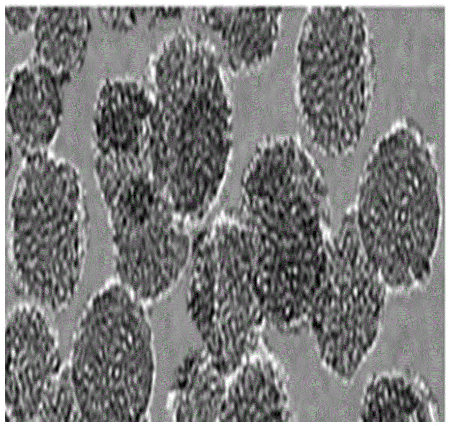 Composite material of functional mesoporous silica loaded drug and siRNA, preparation and application thereof in preparation of anticancer drugs