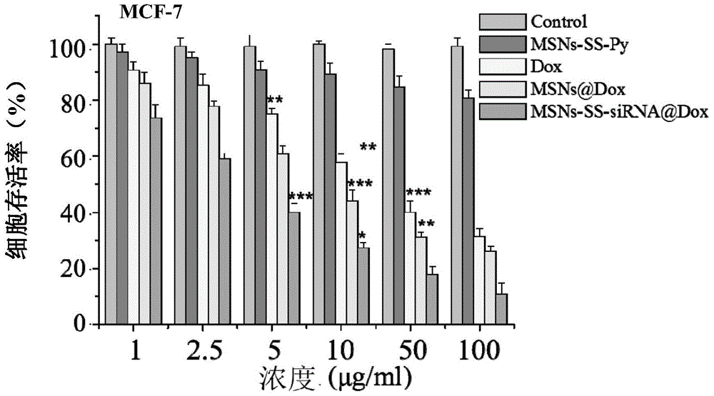 Composite material of functional mesoporous silica loaded drug and siRNA, preparation and application thereof in preparation of anticancer drugs