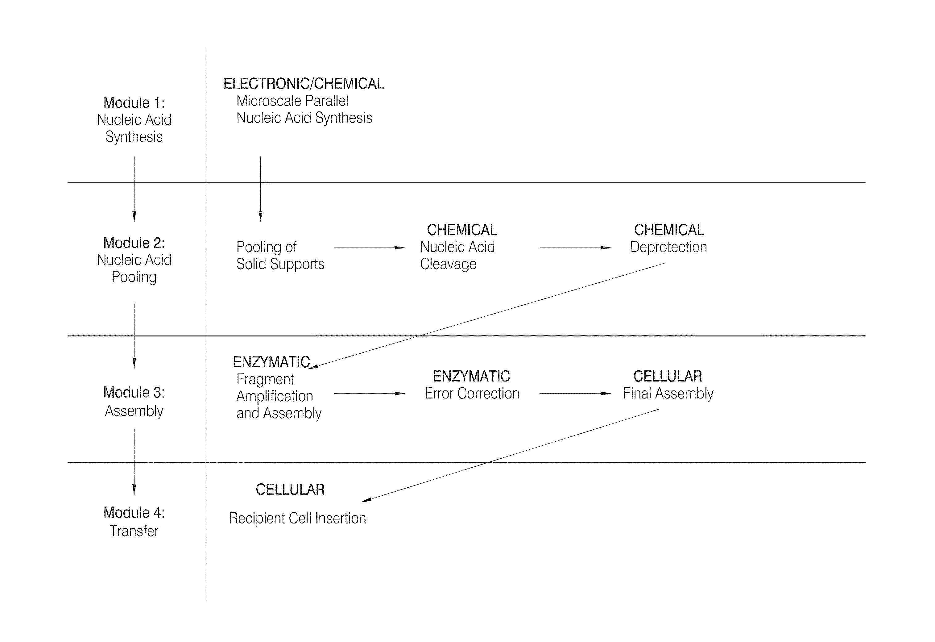 High efficiency, small volume nucleic acid synthesis