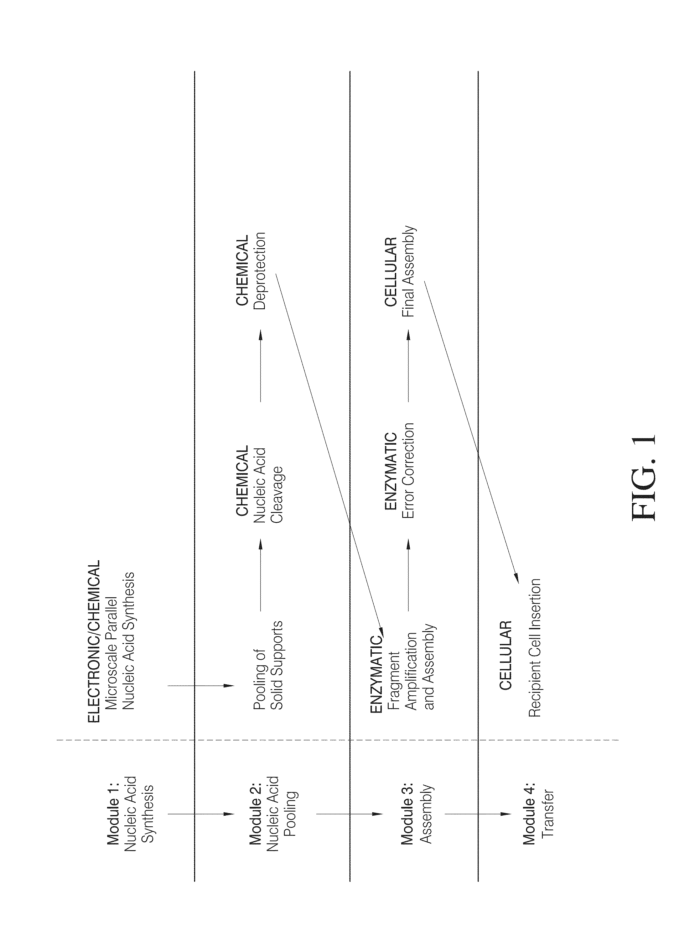 High efficiency, small volume nucleic acid synthesis