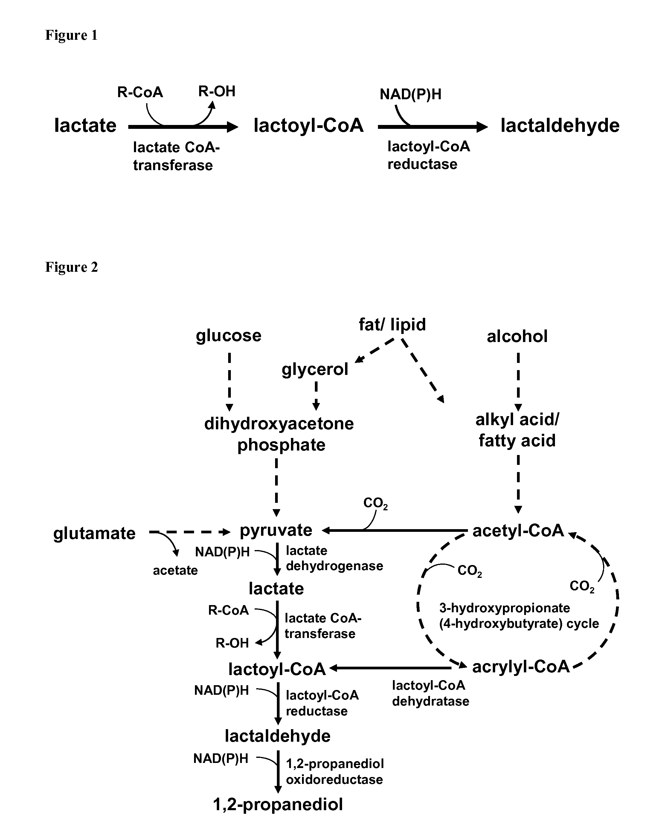 New means and methods for producing propanediol