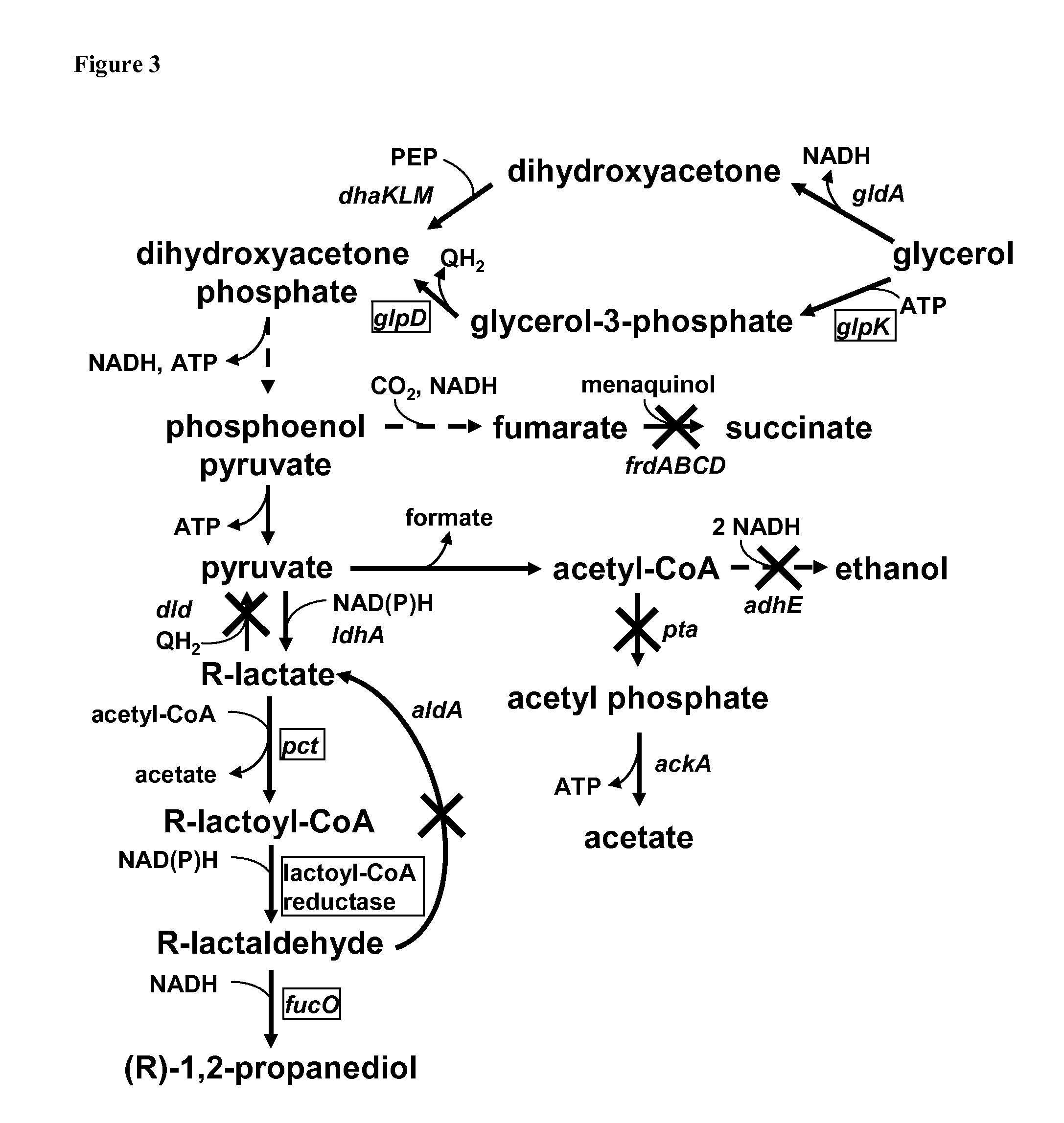 New means and methods for producing propanediol