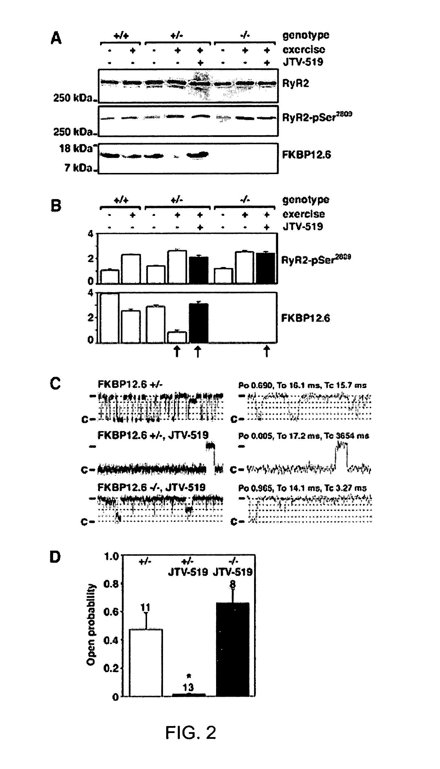 Anti-arrythmic and heart failure drugs that target the leak in the ryanodine receptor (RyR2)