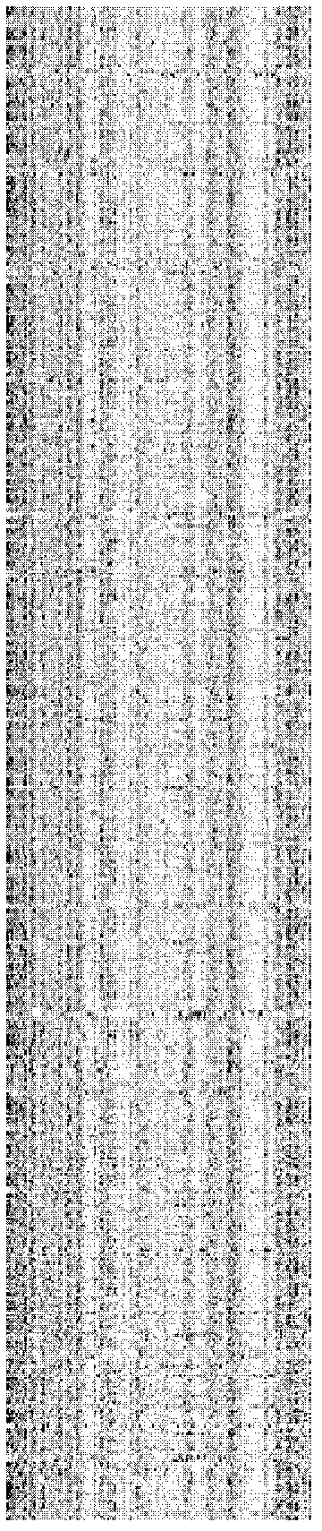 Biological species identification method based on genetic barcode