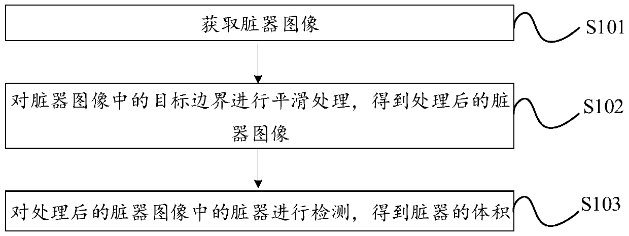 Viscera volume detection method and device