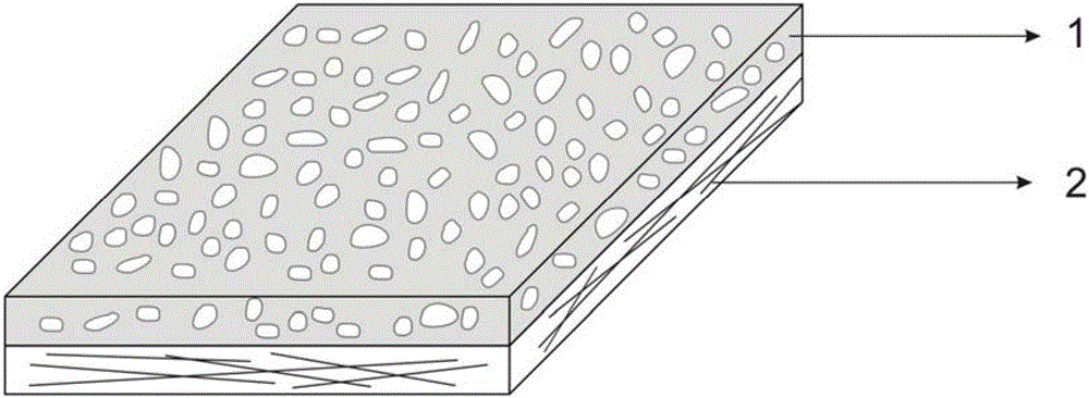 Antibacterial cation-modified absorbable pachymeninx repair material and preparation method and application thereof