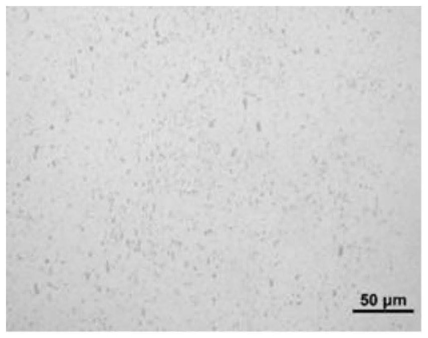 Metallographic sample preparation method of aluminum alloy