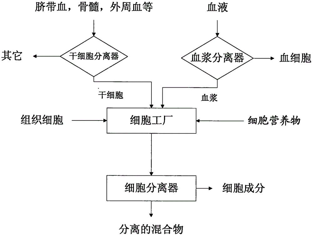 Pharmaceutical composition containing stem cell metabolite and preparation method thereof