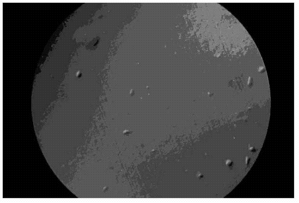 Preparation method of P-layer silicon epitaxial wafer on P++ substrate