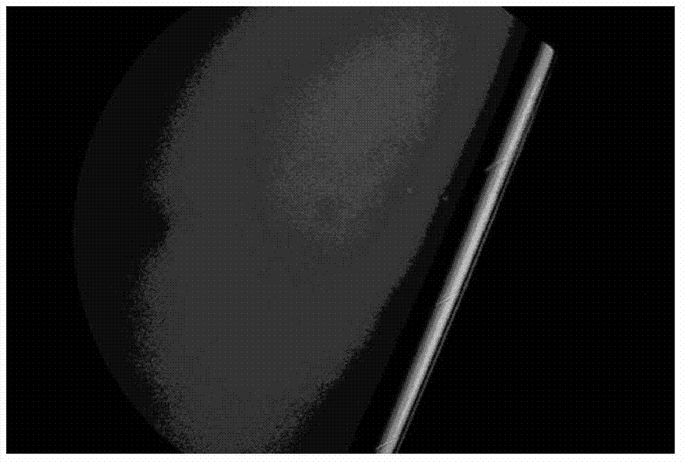 Preparation method of P-layer silicon epitaxial wafer on P++ substrate