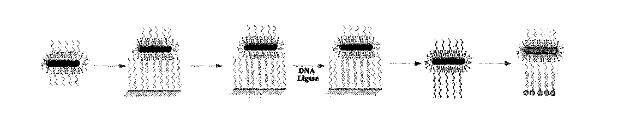 Collective chirality of binary plasmonic nanoparticles janus assemblies