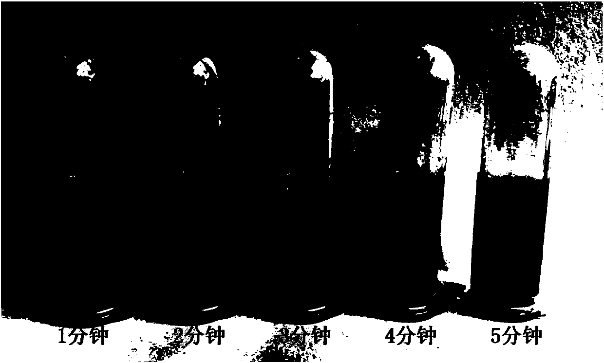 Method for preparing silver nanoparticles through caulis sargentodoxae extracting solution