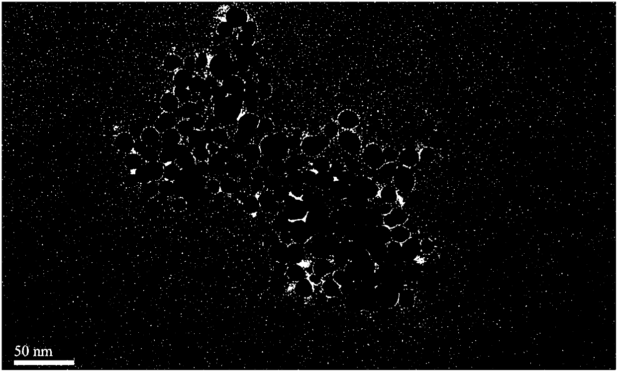 Method for preparing silver nanoparticles through caulis sargentodoxae extracting solution