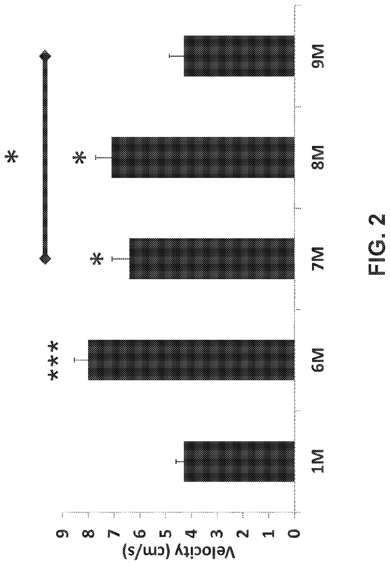 Combinations of opioids and n-acylethanolamines