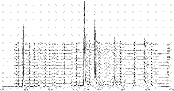 Phyllanthus niruri medicinal material fingerprint establishing method and standard fingerprint thereof