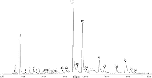 Phyllanthus niruri medicinal material fingerprint establishing method and standard fingerprint thereof