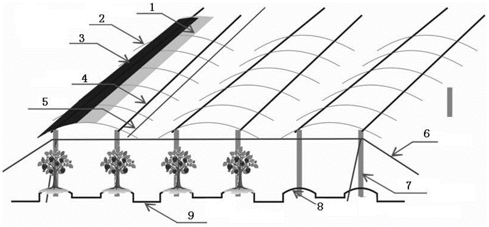 Method for rain sheltering, sun shading and bird prevention during sweet cherry plantation in warm southern regions