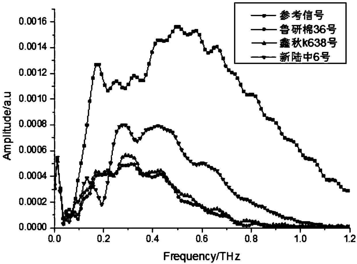 Identification method of transgenic cotton varieties