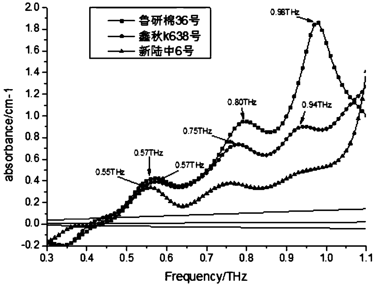 Identification method of transgenic cotton varieties