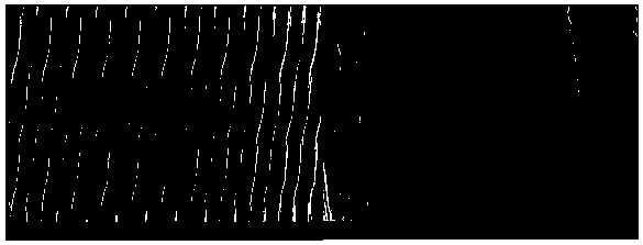 Preparation method of linear polydimethylsilane (PDMS) modified oil-water separation film, and oil-water separation film prepared through preparation method